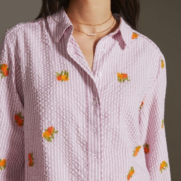 Anthropologie Maeve Embroidered Button down Shirt In Assorted Fruit Striped LG - Picture 14 of 15